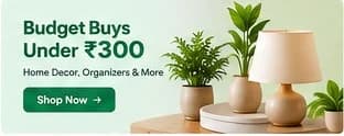 Budget Buys Under ₹300